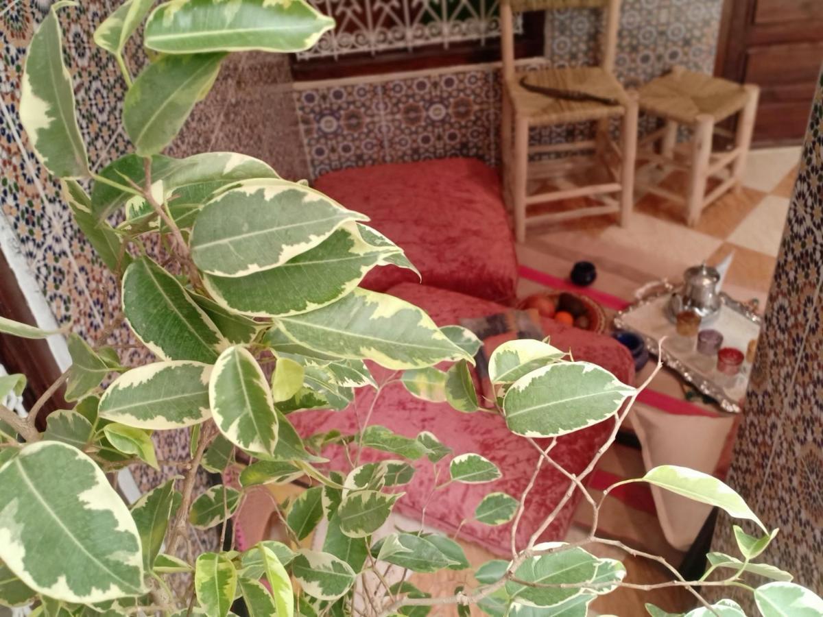 Riad Patrice Marrakesh Buitenkant foto